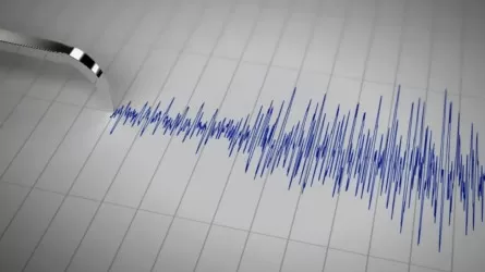 Землетрясение магнитудой 4.4 случилось в 465 км от Алматы