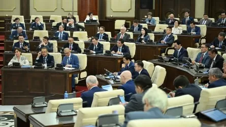 Жаңа Қорғаныс министрі депутаттардың аптығын басқан қызықты мәлімдеме жасады