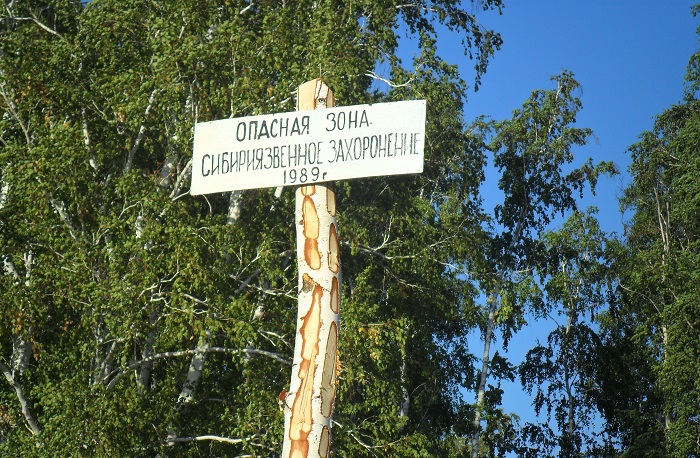 Загородиться от язвы