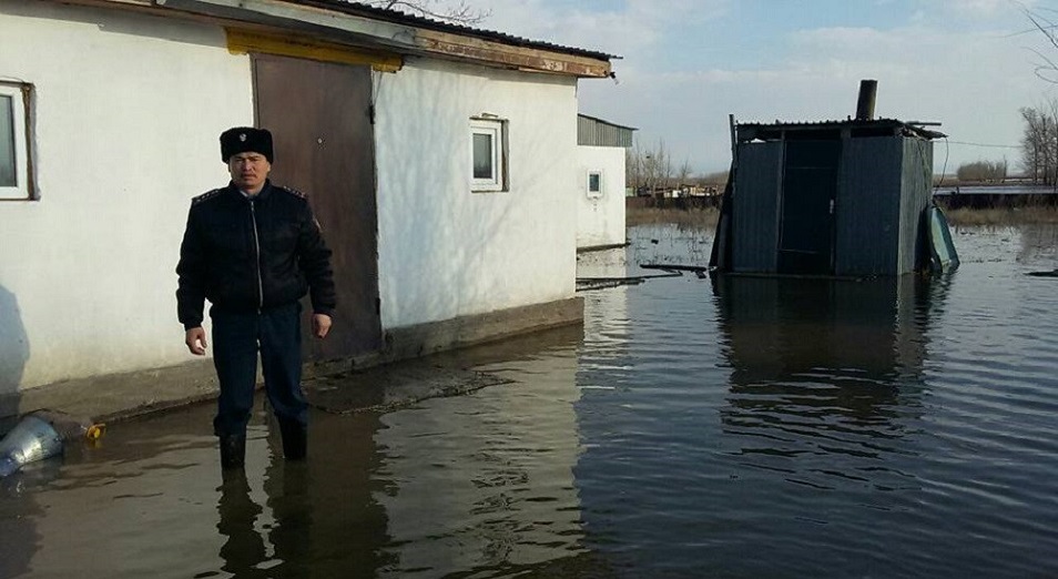 Во всем виновата весна