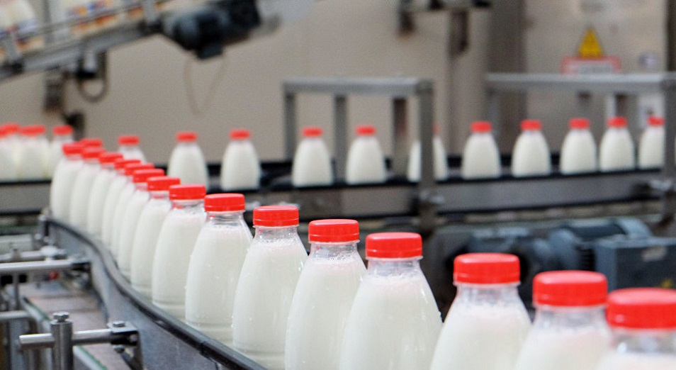 Производители молока в ВКО остались без сырья