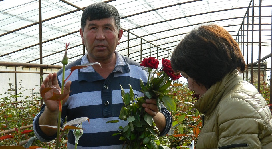 «Черная магия» не устояла перед субсидиями