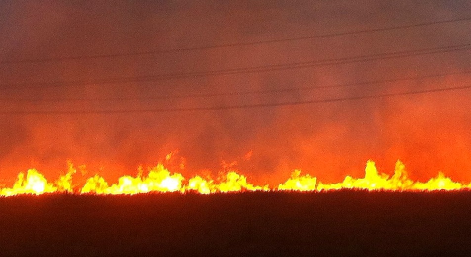 49 гектаров степи горели в Карагандинской области