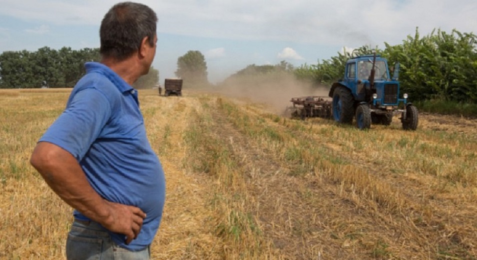 Павлодарские аграрии могут лишиться субсидий