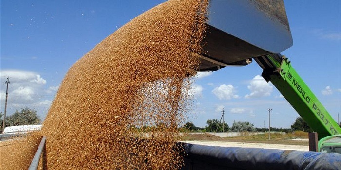 Экспорт зерна нарастает