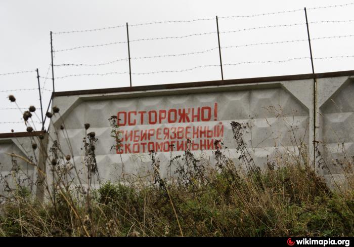 В Казахстане пересчитают скотомогильники