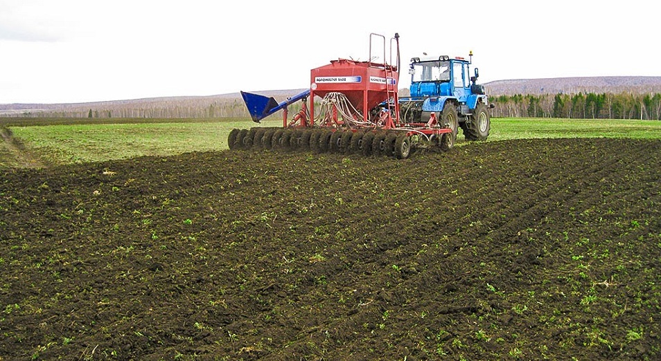 Репродукциялы тұқым – жоғары өнімнің кепілі