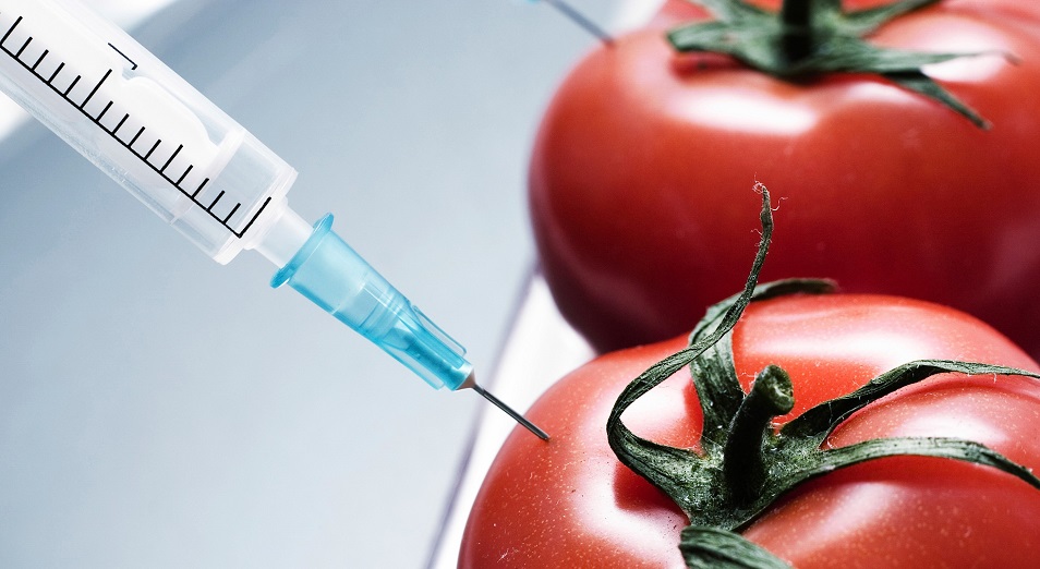 Внедрение ГМО в РК поможет поднять уровень продбезопасности – экономист