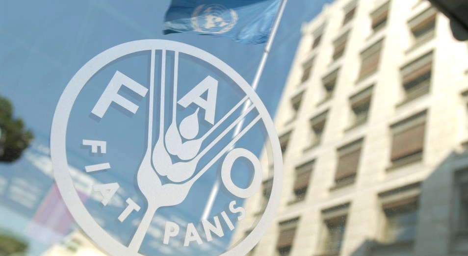 Казахстан станет шестым государством, где откроется бюро FAO