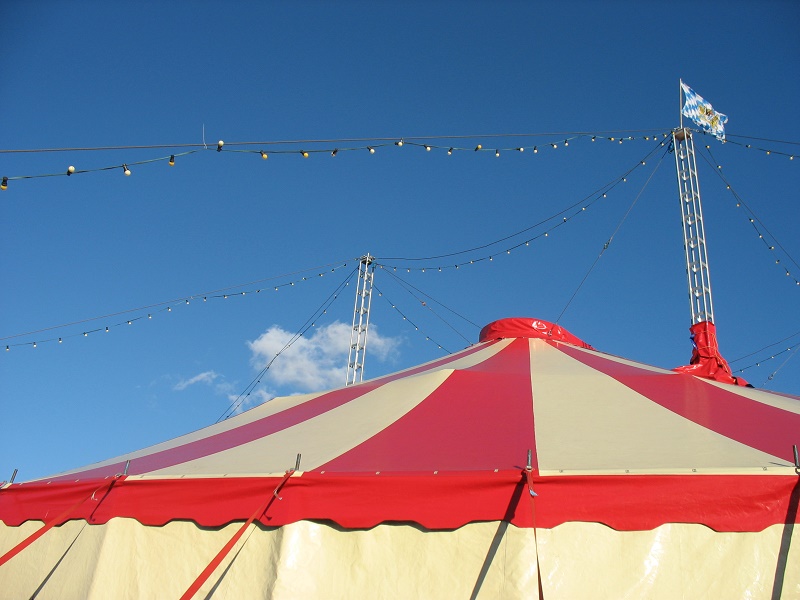 Артистка цирка упала с высоты на выступлении в Талдыкоргане