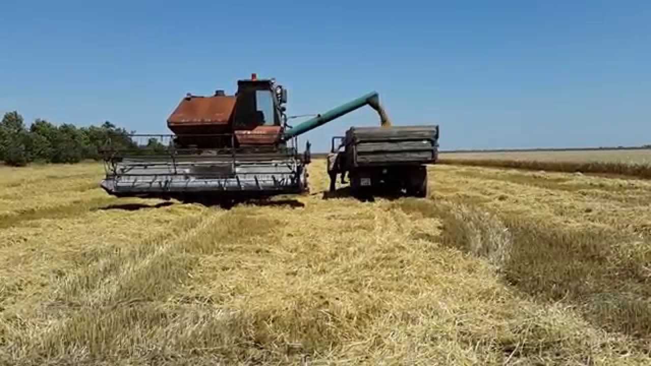 Дожди в Костанайской области мешают уборке урожая