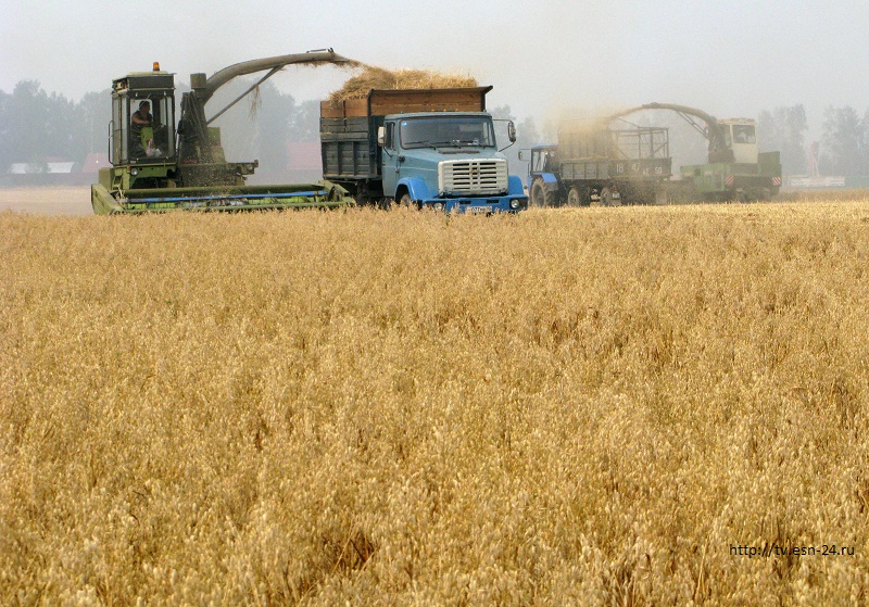 Дизельное топливо в Казахстане подорожало