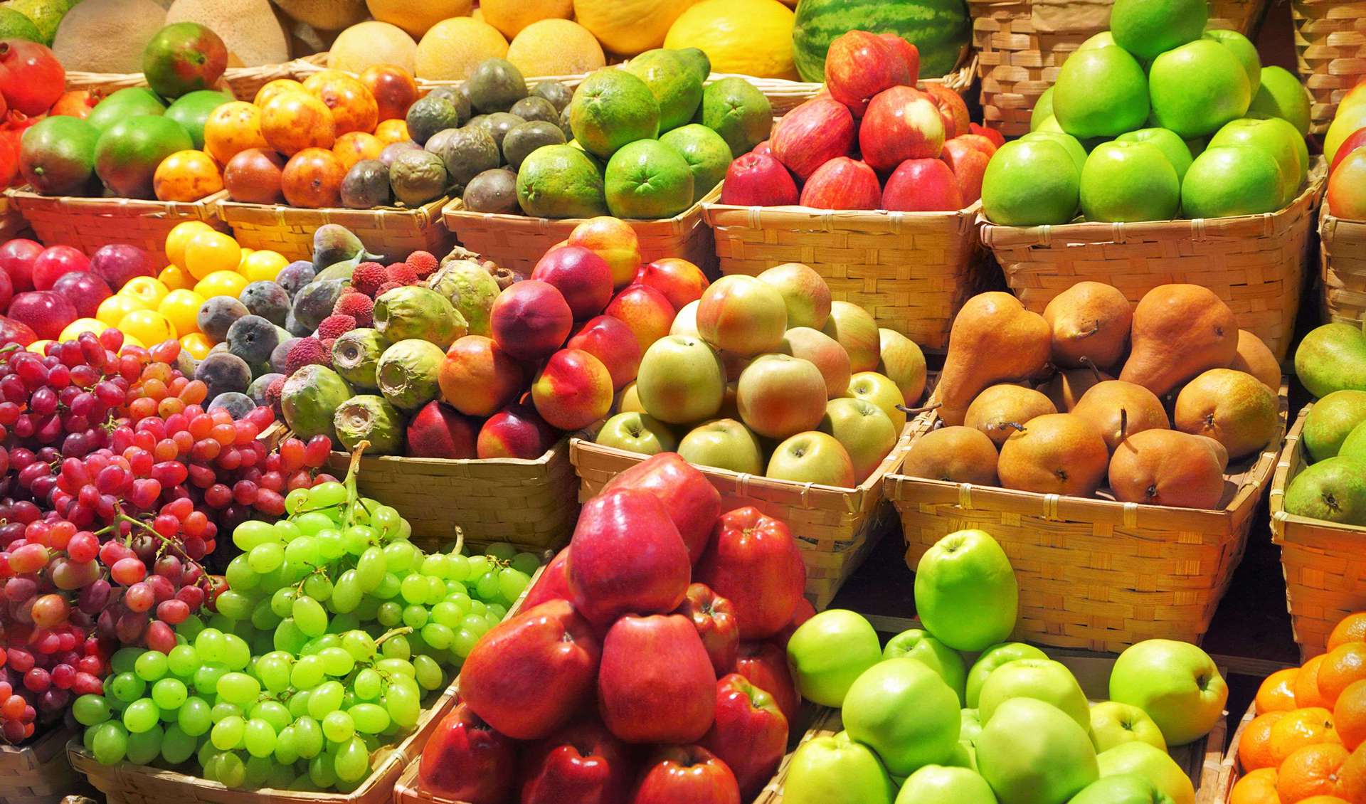65 попыток незаконного ввоза растительной продукции из России, Узбекистана и Турции пресекли за неделю