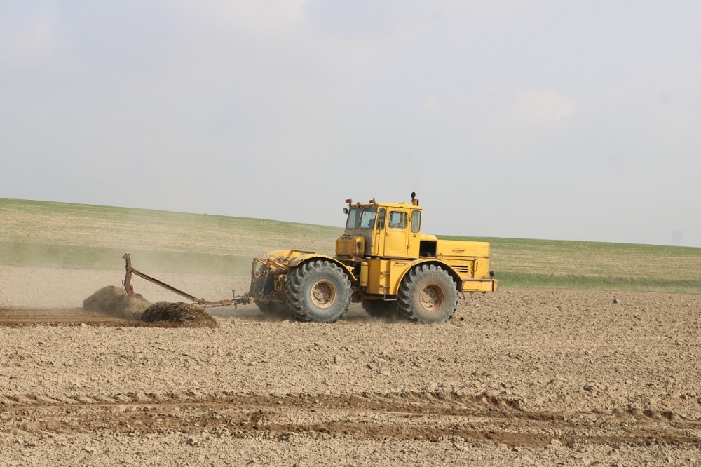 В ходе весенних полевых работ под посевы подготовлено 81,5 тысячи га сельхозугодий в Кордайском районе