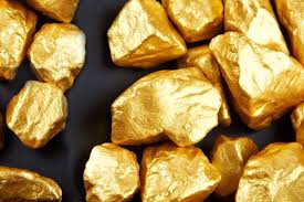 Жамбыл облысында неміс компаниясы алтын өндіретін кәсіпорын салады
