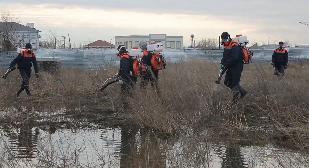 Водоемы в Нур-Султане начали обрабатывать от комаров и мошек