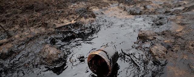Ущерб природе РФ от нефтепродуктов в 2018 году увеличился в пять раз