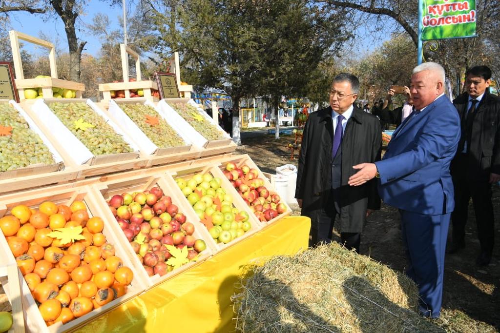 Фермеры района в Туркестанской области собрали более 400 тыс. тонн бахчевых