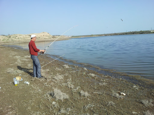 Характеристики воды водохранилища Шардара в пределах нормы – «Казгидромет»