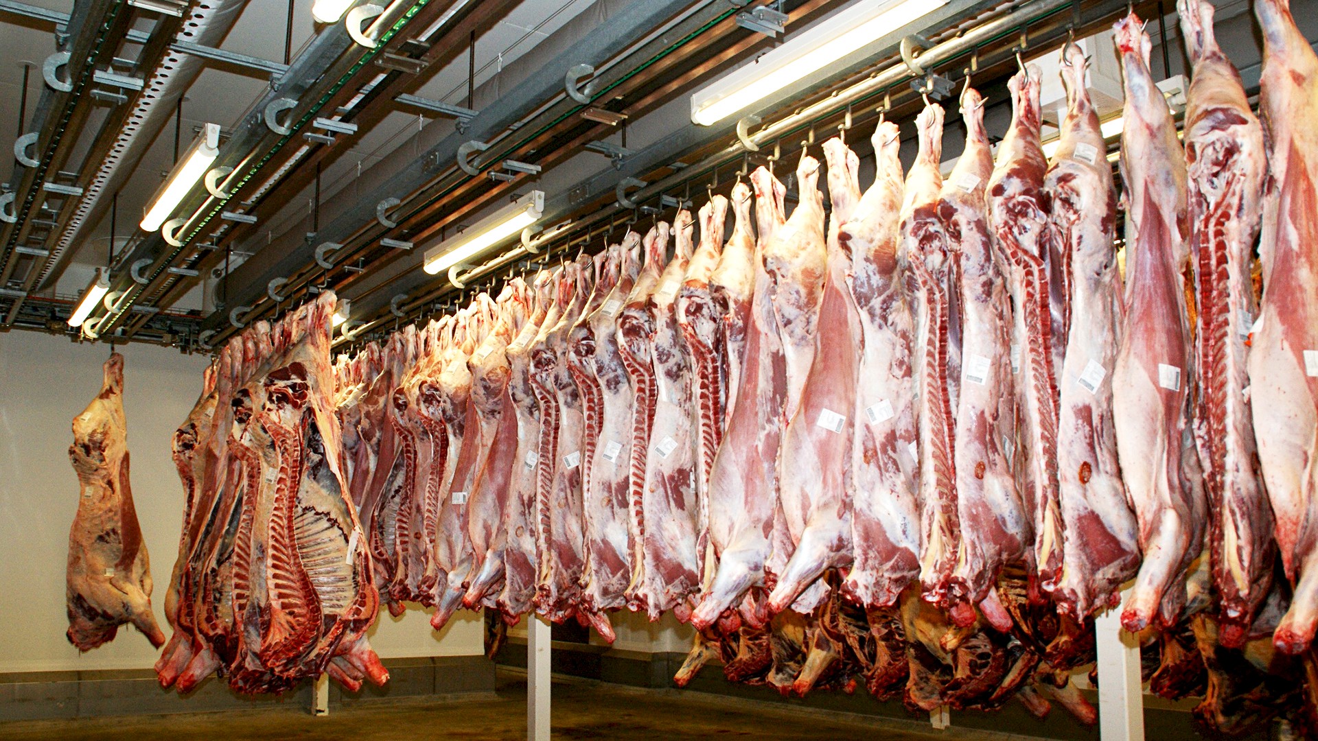 В Павлодарской области планируют увеличить экспорт мяса вдвое