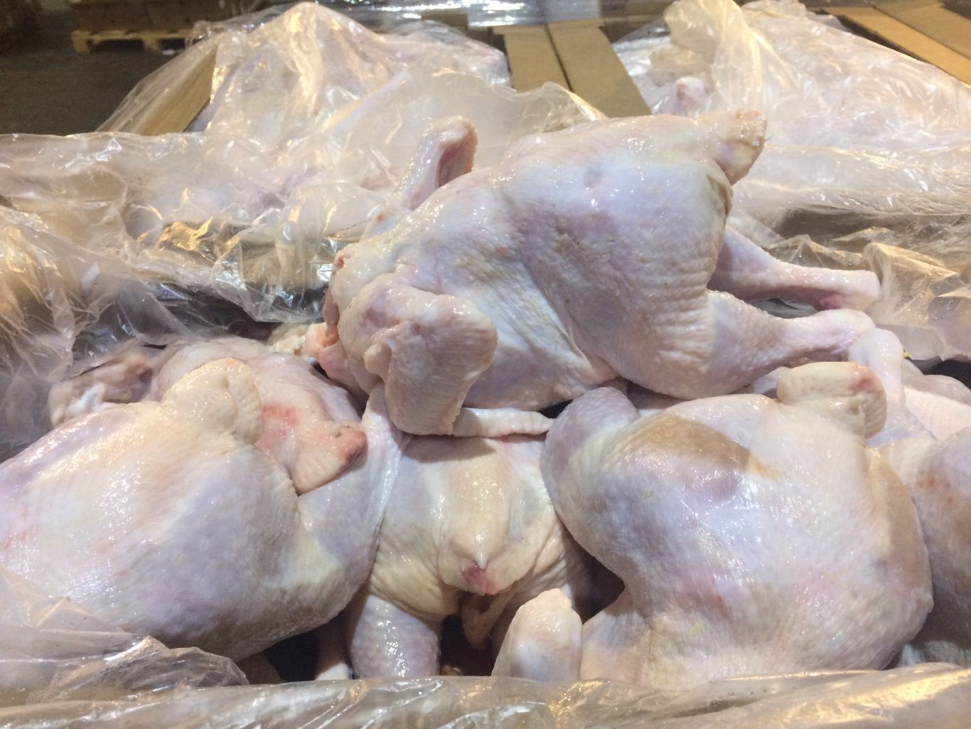 Запрещенные и вредные вещества выявили во ввозимой в Казахстан продукции