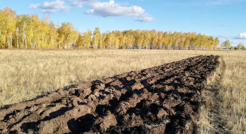 Как развивать бизнес на травах