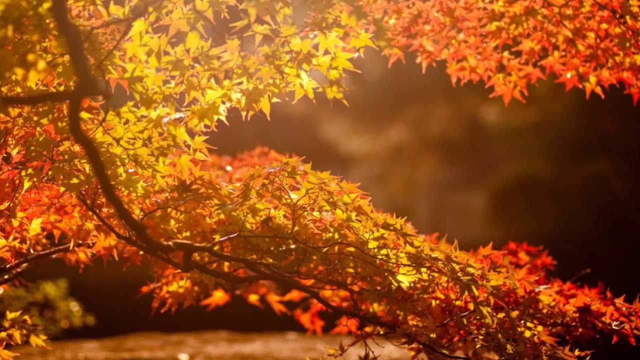 Сенбі күнге арналған ауа райы болжамы 
