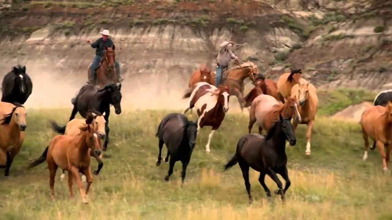 В Казахстане в январе сельхозпроизводство выросло на 3,5%  