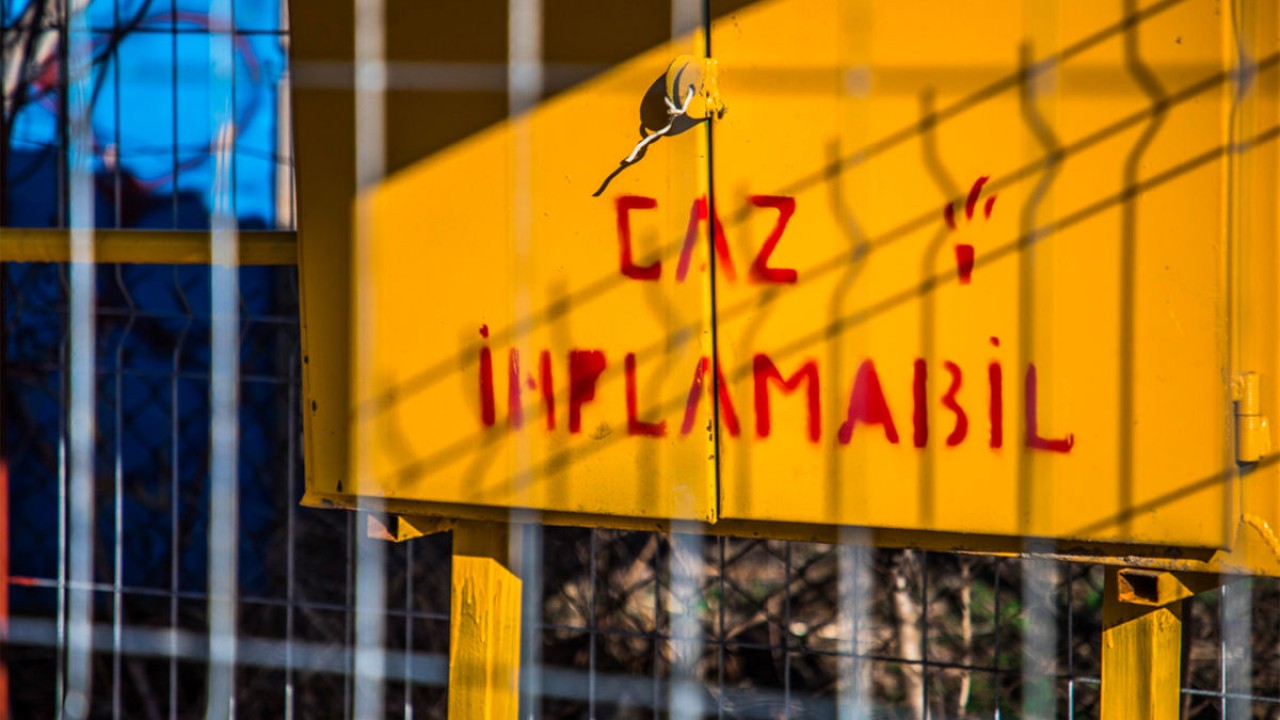 В Молдавии ввели режим ЧП на два месяца