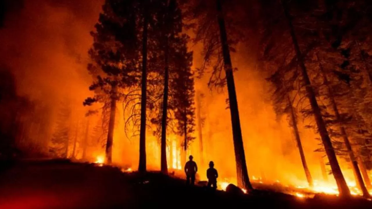 Природный пожар в Калифорнии охватил более 100 гектаров