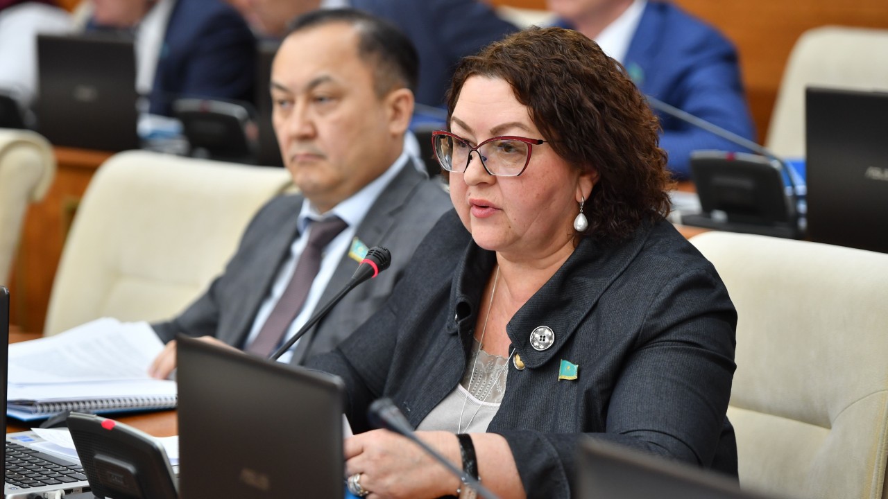 Новый формат министерства нацэкономики предложила депутат Ирина Смирнова 