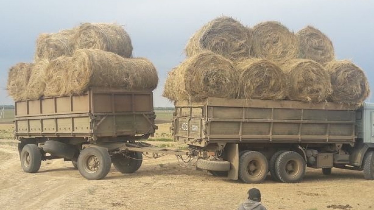 Маңғыстаулық шаруалар бейбіт митинг өткізгісі келеді