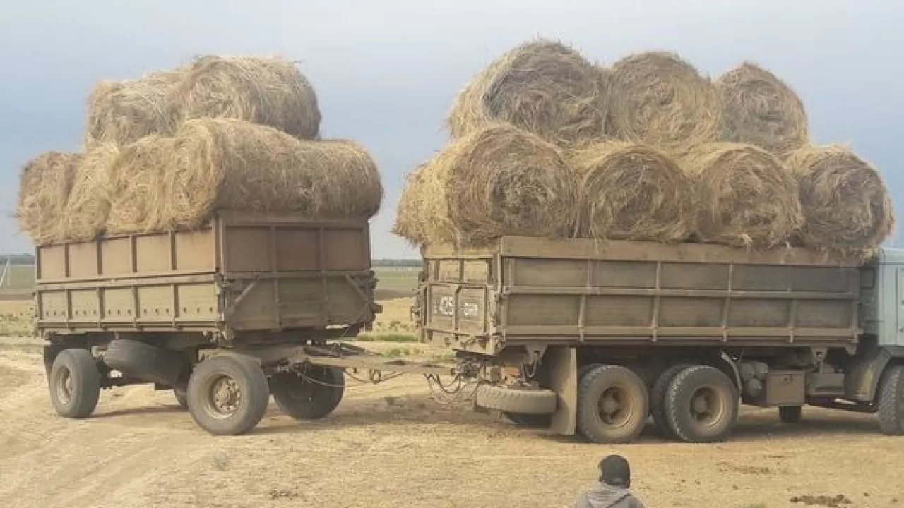 Маңғыстаулық шаруалар бейбіт митинг өткізгісі келеді