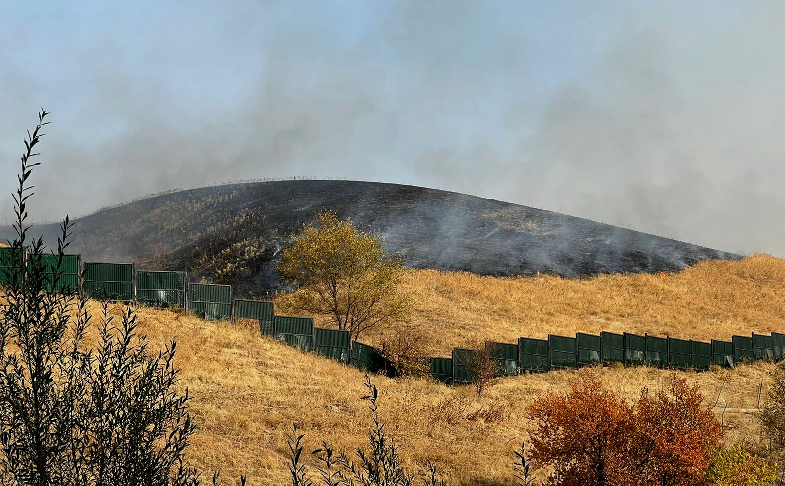 В горах Алматы снова загорелся сухостой