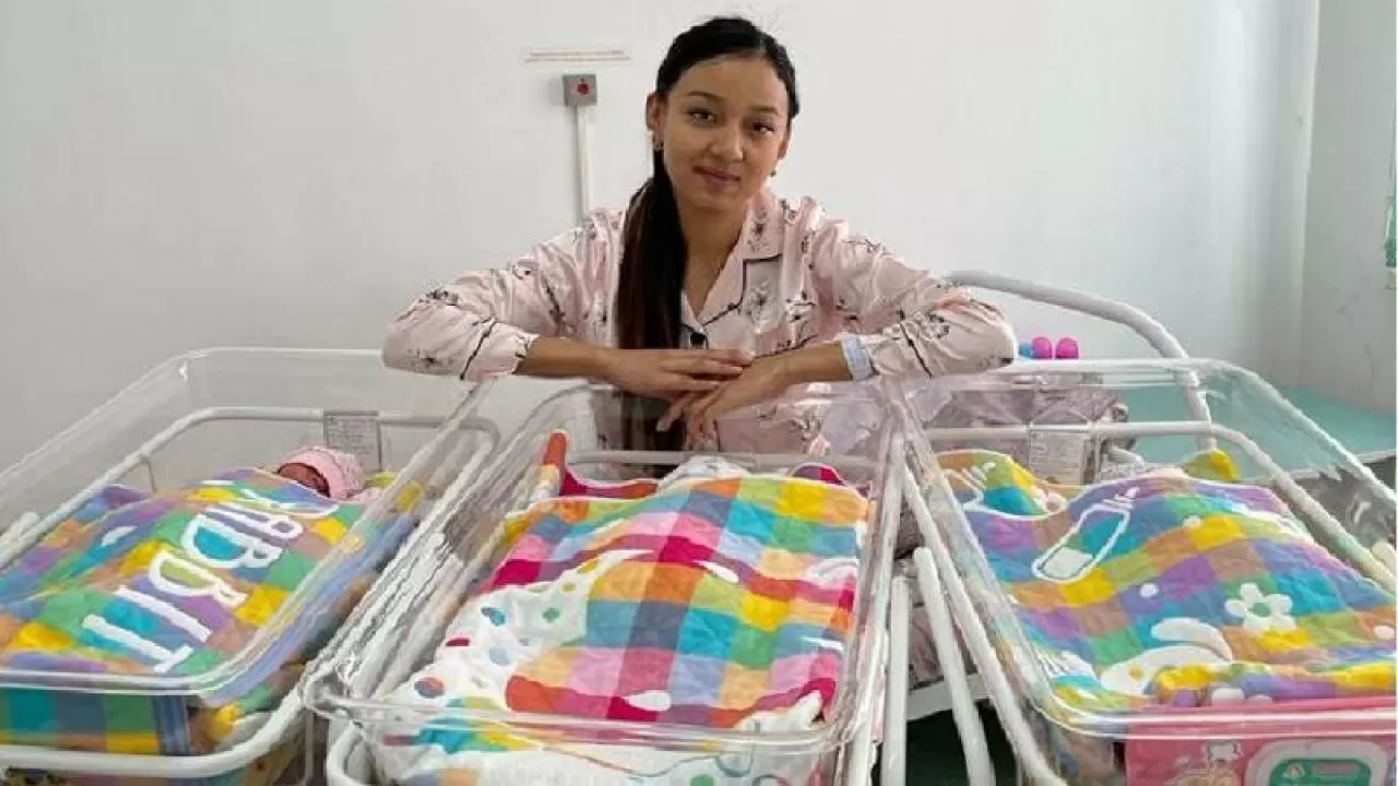 Жамбыл облысында үшемдер дүниеге келді