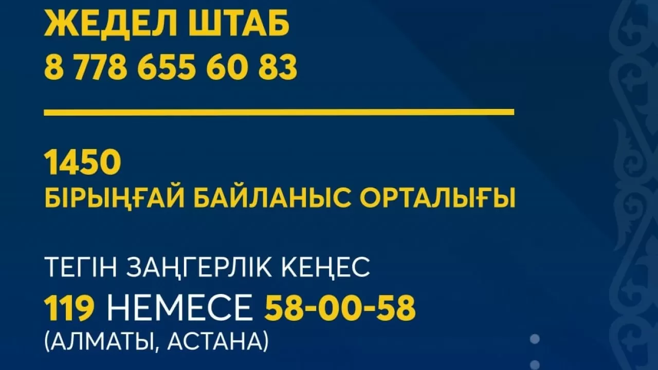 Жоғары білім министрлігі "далада түнеп жүрген" студенттерді іздестіріп жатыр