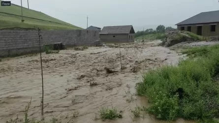 Көшкін салдарынан Венесуэлада 25 адам қаза тапты