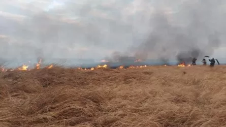 Более 70 тонн свежего сена сгорело в Павлодарской области