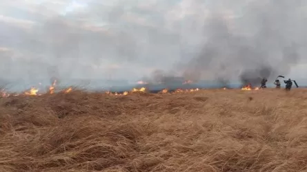 Павлодар облысында дала өртін сөндіруге бір тәулік кетті