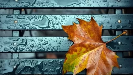 Дождливые выходные обещают синоптики казахстанцам  