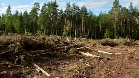 Чтобы не выгорать, нужны деньги