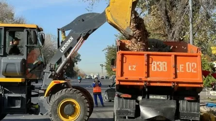 Свыше 270 тонн мусора собрали алматинцы во дворах и на улицах