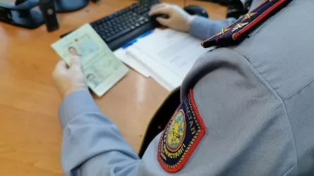 66 уголовных дел о нелегальной миграции завели в Казахстане за 8 месяцев