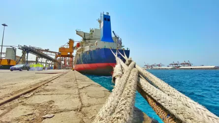 Из украинских портов вышли 17 судов в рамках продуктовой сделки