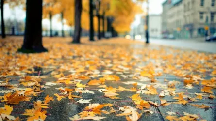 Прогноз погоды на неделю 