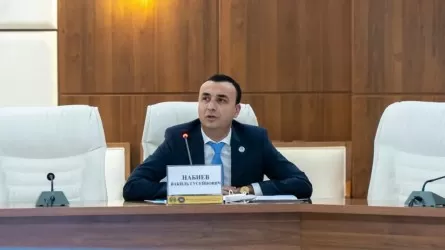 Қазақстанда аутизммен ауыратын балалардың саны артып келеді – Вакиль Нәбиев