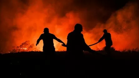 Пожар возник в горах близ Алматы