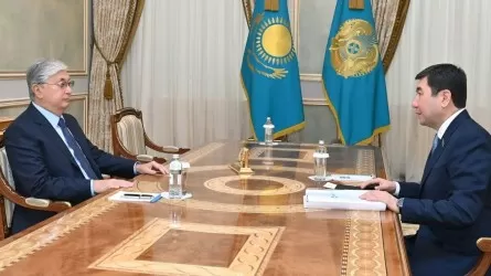 Токаеву доложили о законах, направленных на реализацию конституционной реформы