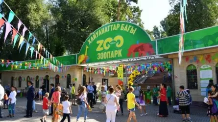 Билет в зоопарк за желуди можно получить в Алматы