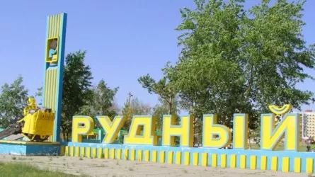 Два уголовных дела возбуждено по факту смерти шестилетних близнецов